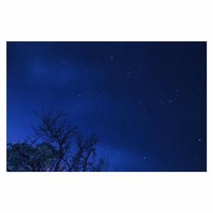 国产亚洲视频中文字幕97精品
