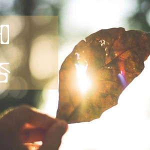 国产亚洲视频中文字幕97精品
